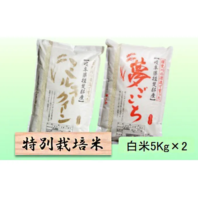 特別栽培米★白米10kg 【ミルキークイーン・夢ごこち】各5Kg お米 ブランド米 銘柄米 ご飯 おにぎり モチモチ 冷めても美味しい 低アミロース米 