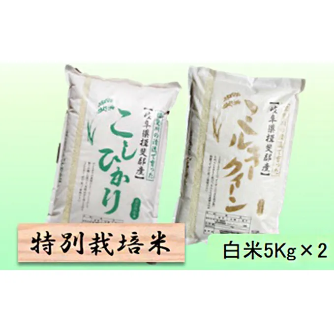 特別栽培米★白米10kg 【コシヒカリ・ミルキークイーン】各5Kg お米 ブランド米 銘柄米 ご飯 おにぎり お米の王様 バランス モチモチ 低アミロース米 