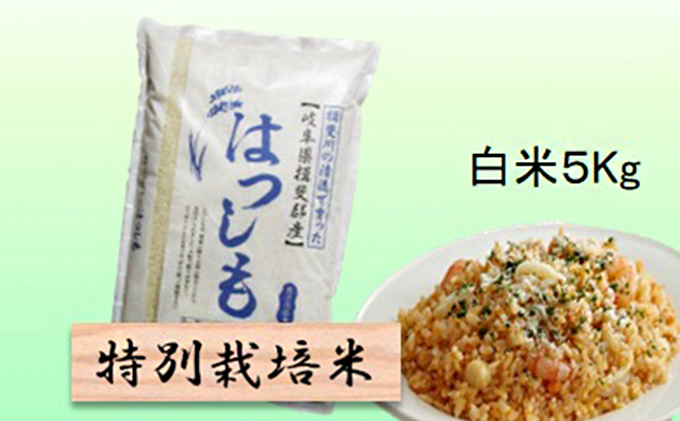 味の素株式会社は、酵素の働きで白米のでんぷんが分解されにくい