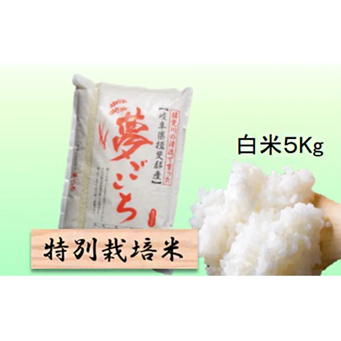 特別栽培米★白米５kg 【夢ごこち】 玄米は別に出品 お米 ブランド米 銘柄米 精米 ご飯 おにぎり モッチリ 甘い 低アミロース米 