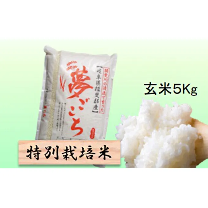 特別栽培米★玄米５kg 【夢ごこち】 お米 ブランド米 銘柄米 ご飯 おにぎり モッチリ 甘い 低アミロース米 冷めても美味しい 