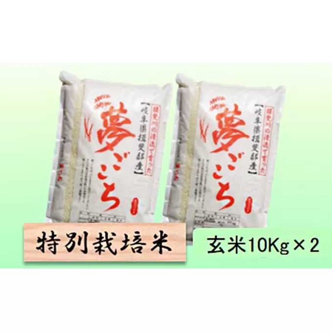特別栽培米★玄米20kg【夢ごこち】10Kg×2