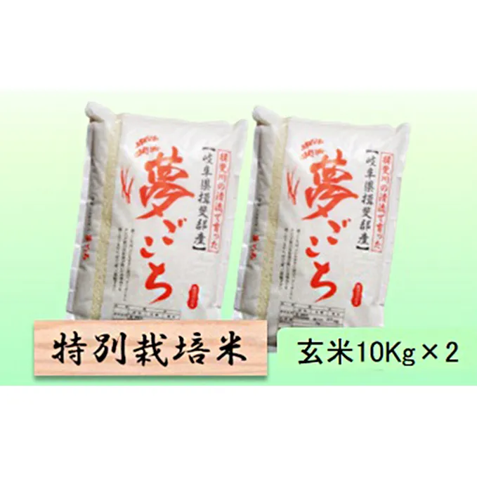 特別栽培米★玄米20kg【夢ごこち】10Kg×2 お米 ブランド米 銘柄米 ご飯 モッチリ甘い 低アミロース米 冷めても美味しい 