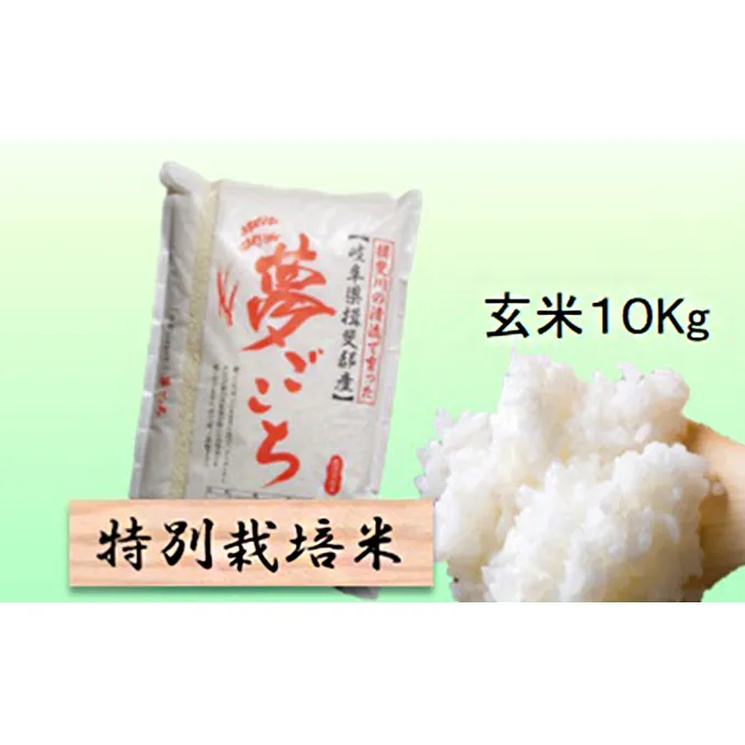 特別栽培米★玄米10kg 【夢ごこち】 お米 ブランド米 銘柄米 ご飯 おにぎり モッチリ 甘い 低アミロース米 冷めても美味しい 
