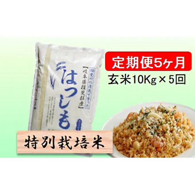 特別栽培米★[定期便] 5カ月★毎月 玄米10kg【ハツシモ】 お米 ブランド米 銘柄米 ご飯 アッサリ 幻のお米 大粒 