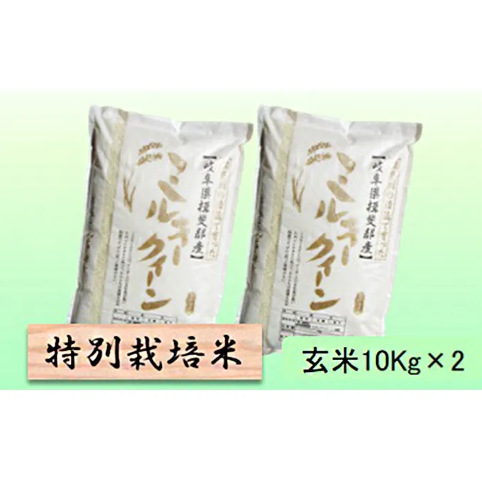 特別栽培米★玄米20kg【ミルキークイーン】10Kg×2 お米 ブランド米 銘柄米 ご飯 モチモチ 低アミロース米 冷めても美味しい 