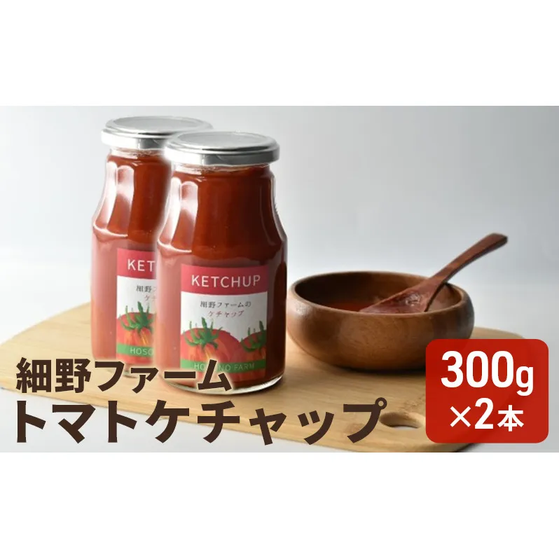 トマトケチャップ(300g)　2本入り ソース 調味料 洋食 料理 調理 食卓 うま味濃縮 