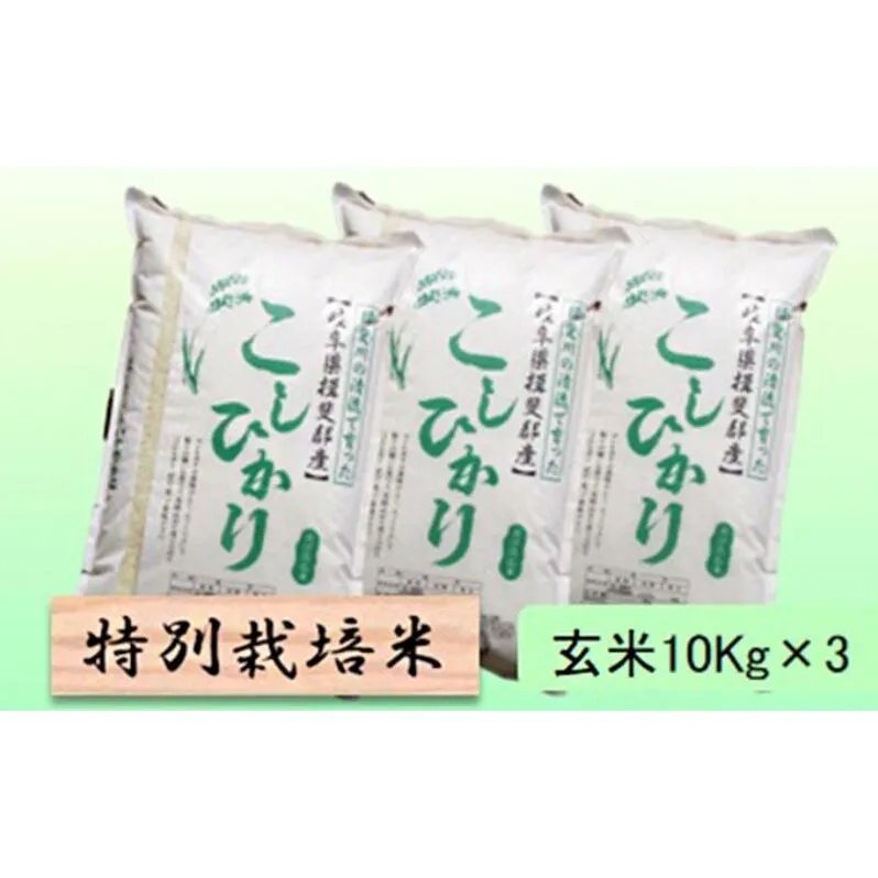 【令和7年産】特別栽培米 30kg【玄米】（コシヒカリ）