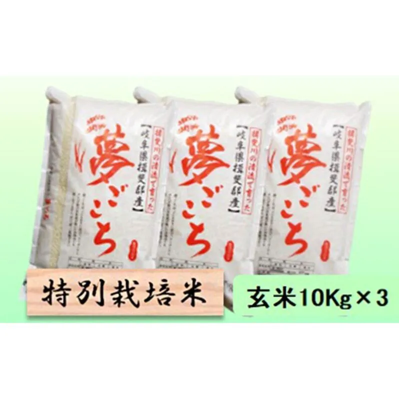 【令和7年産】特別栽培米 30kg【玄米】（夢ごこち）