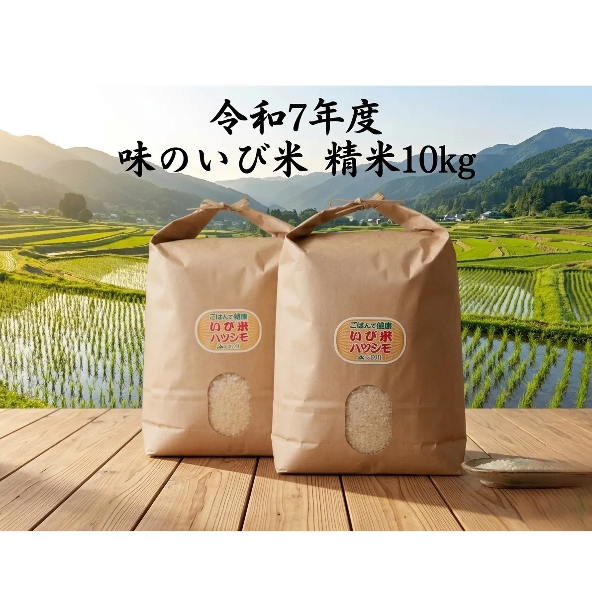 【令和7年産】岐阜県揖斐郡産 味のいび米 はつしも 精米10kg