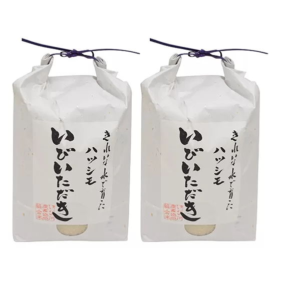 ＪＡいび川プレミアム米「いびいただき」/白米6kg お米 
