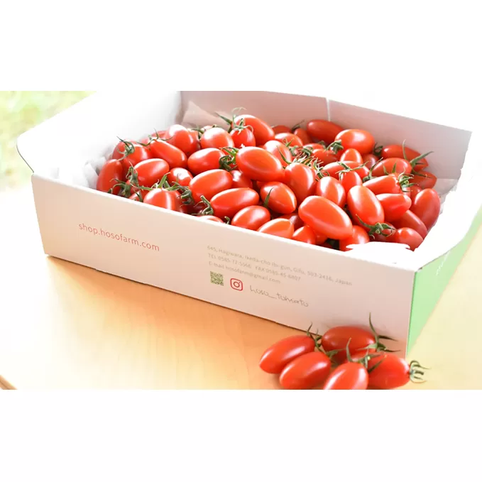 HOSONOFARMプレミアムミニトマト「スピカ」1kg 野菜 