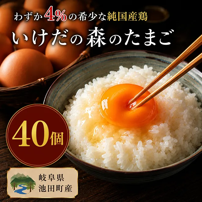 卵 わずか4%の希少な純国産鶏 いけだの森たまご 40個 こだわり おこめのたまご 玉子 鶏卵 生卵 産地直送 冷蔵配送 TKG 卵かけご飯 岐阜県産 