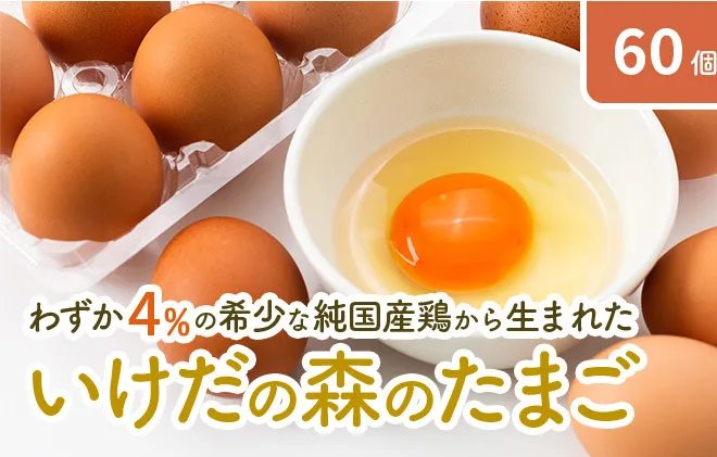 卵 わずか4%の希少な純国産鶏 いけだの森たまご 60個 こだわり おこめのたまご 玉子 鶏卵 生卵 産地直送 冷蔵配送 TKG 卵かけご飯 岐阜県産 