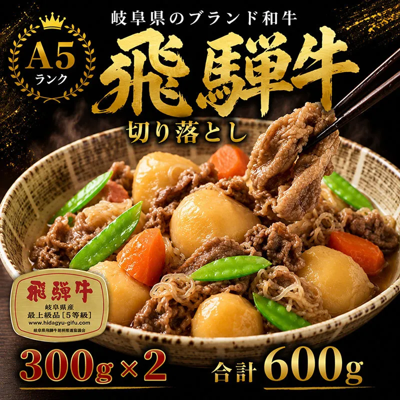 飛騨牛切り落とし　600ｇ(300g×2) 牛肉 お肉 国産 黒毛和種 柔らかい とろける くちどけが良い 霜降り 細かいサシ 食材 食卓 グルメ