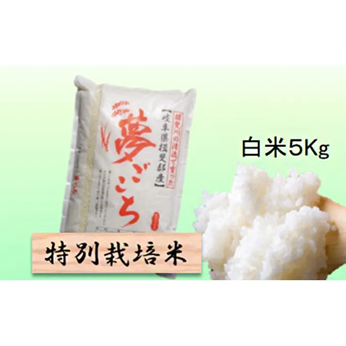 特別栽培米 【 令和8年産 】 白米 5kg 【 夢ごこち 】