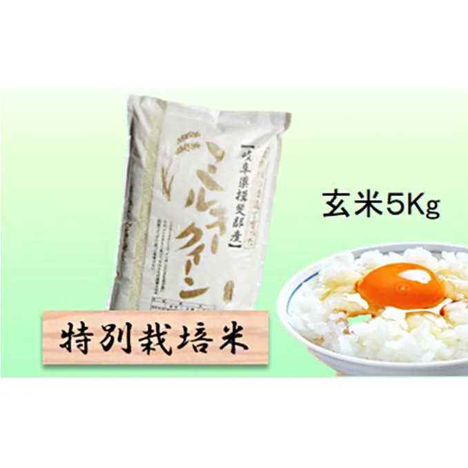 特別栽培米 【 令和8年産 】 玄米 5kg 【 ミルキークイーン 】