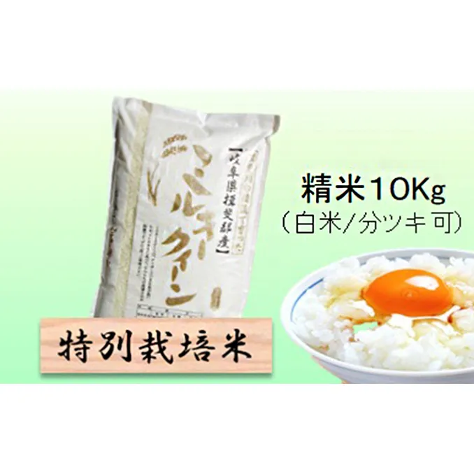 特別栽培米 【 令和8年産 】 精米 10kg（白米/5分/7分ツキ可）【 ミルキークイーン 】玄米は別に出品