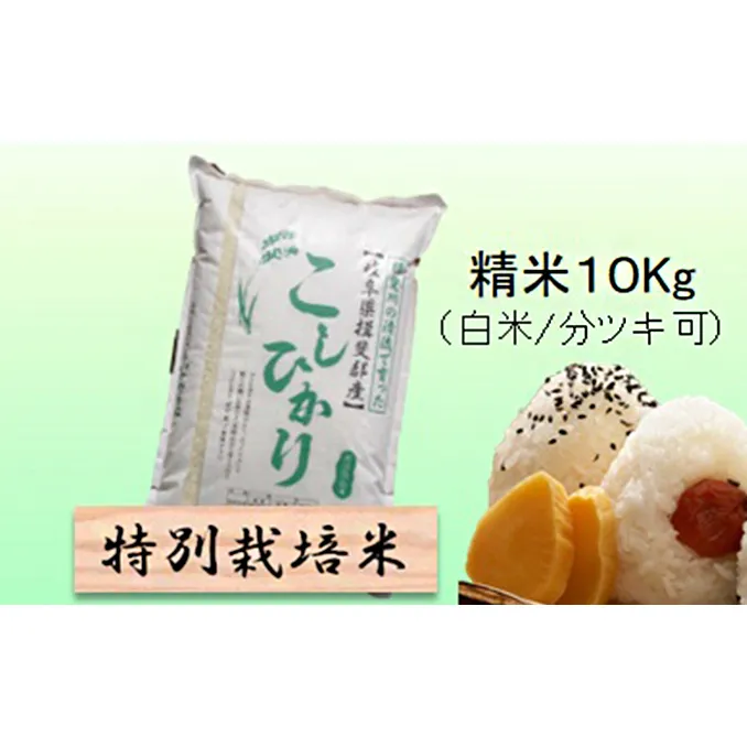 特別栽培米 【 令和8年産 】 精米 10kg（白米/5分/7分ツキ可）【 コシヒカリ 】玄米は別に出品