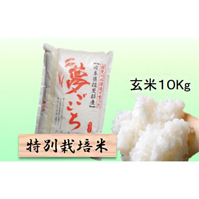特別栽培米 【 令和8年産 】 玄米 10kg 【 夢ごこち 】