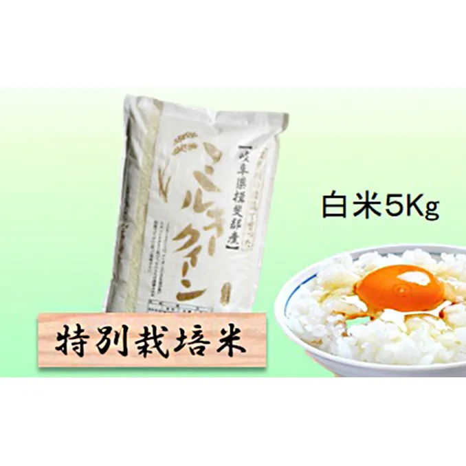 特別栽培米 【 令和8年産 】 白米 5kg 【 ミルキークイーン 】