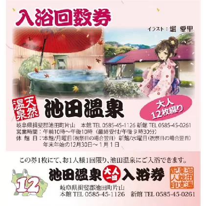池田温泉　大人回数券1冊（12回分） チケット 温泉利用券 