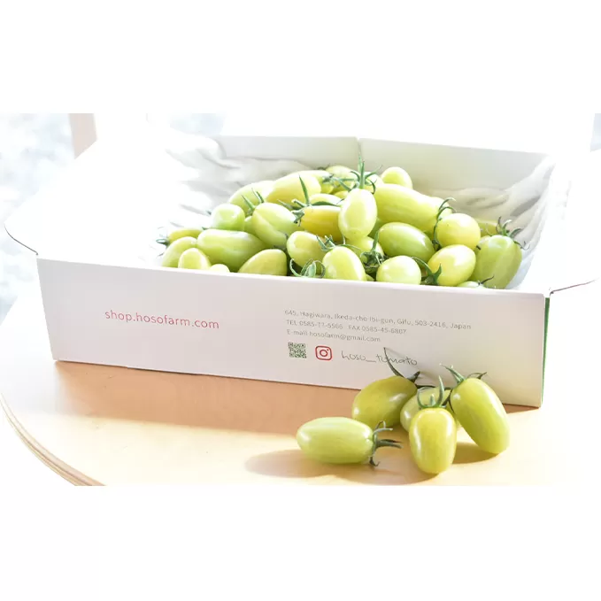 食卓を彩るトマト。緑なのに食べれるの！？グリーンスピカ（1kg） とまと 野菜 ミニトマト 