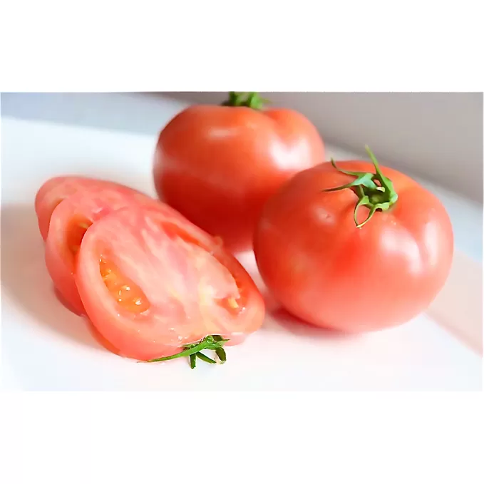 大玉トマト（4kg） 野菜 とまと 