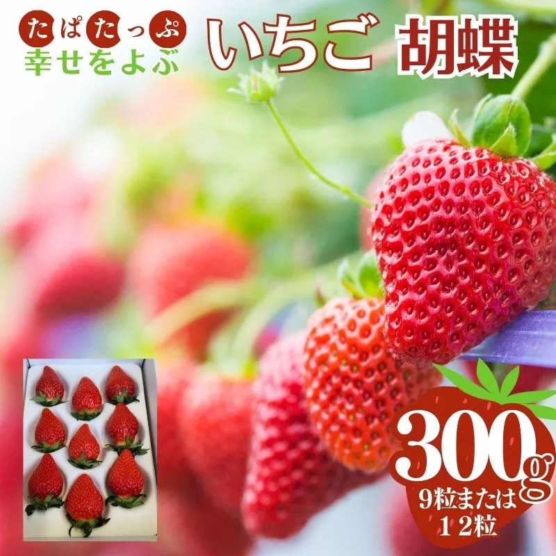 【13030】幸せをよぶ いちご 胡蝶