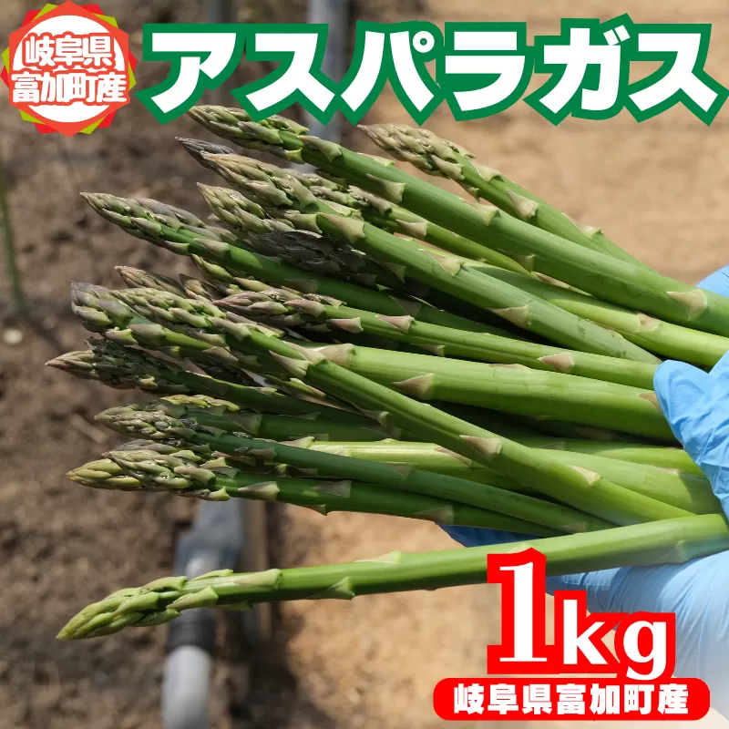 【15049】アスパラガス 1kg