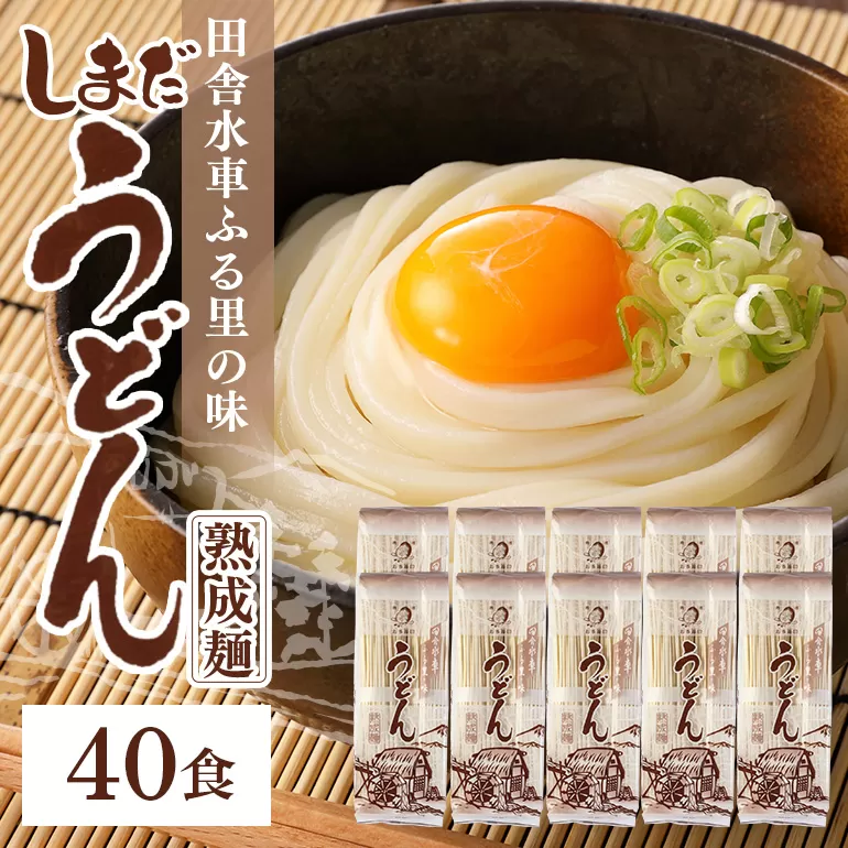 島田うどん10袋(40食分) 島田麺 乾麺 常備食 保存食