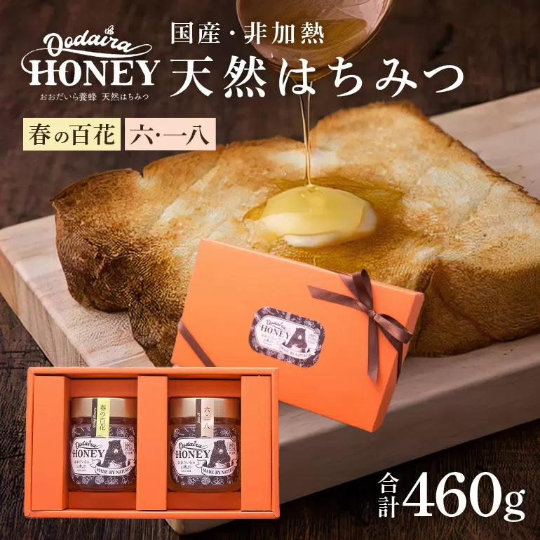 国産天然 非加熱はちみつ 230g 2本セット「春の百花」「6.18」 純粋はちみつ 生はちみつ