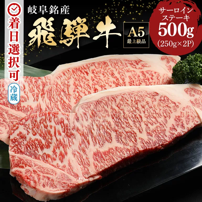 [冷蔵配送]飛騨牛 サーロインステーキ 250g 2枚 和牛 お肉 牛肉 A5 焼肉 キャンプ アウトドア