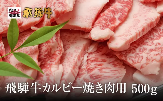 【冷蔵配送】飛騨牛 カルビー 焼肉用 500g 和牛 お肉 牛肉 焼き肉 バーベキュー BBQ 黒毛和牛 2人前 3人前