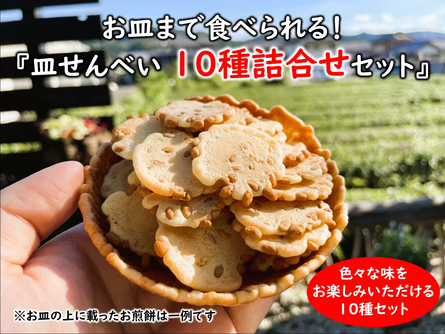 お皿まで食べられる！八百津せんべい「皿せんべい」詰合せ 10種セット 煎餅 おやつ お菓子