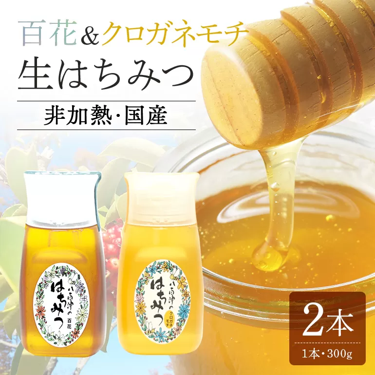 使いやすいプラ容器入り 非加熱生はちみつ 百花 クロガネモチ 各300g 計2本 純粋生はちみつ 食べ比べ