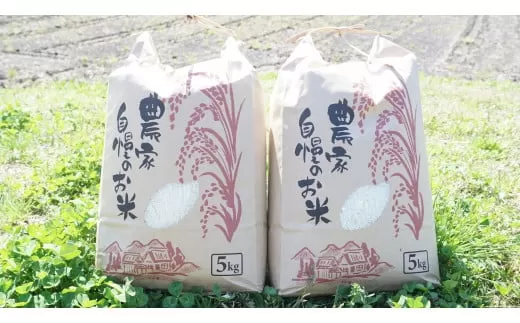 【令和6年度米】八百津町産コシヒカリ！ 10kg　数量限定