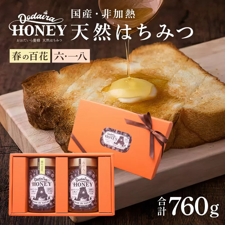 国産天然 非加熱はちみつ 380g 2本セット「春の百花」「6.18」　純粋はちみつ 生はちみつ