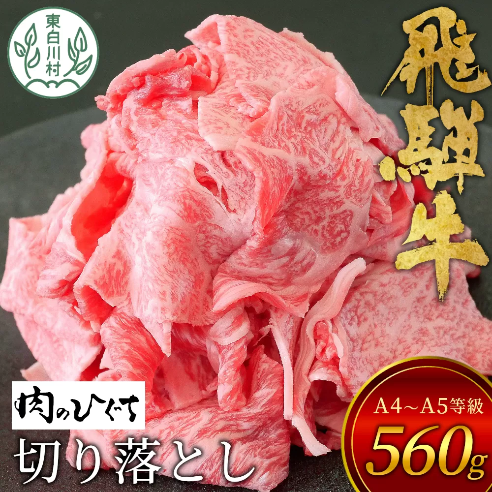 【7営業日以内発送】 飛騨牛 切り落とし 560g A5 A4 国産 牛 冷凍 お試し 和牛 牛肉 切落し 切り落し 薄切り 訳あり 牛丼 すき焼き しゃぶしゃぶ 東白川村 岐阜 飛騨 贅沢 霜降り ロース バラ もも ウデ 肉のひぐち