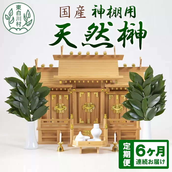 【定期便・全6回】 神棚用 国産榊 さかき 2束 6ヶ月連続でお届け お供え お祀り 国産 天然 新鮮 長持ち 天然榊 東白川村
