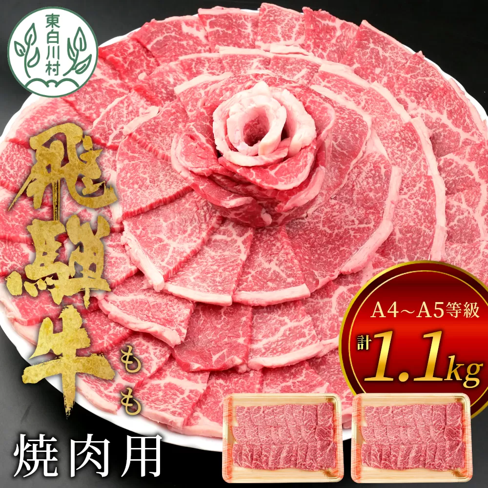 【7営業日以内発送】 飛騨牛 もも 焼肉用 1.1kg 550g×2 A5 A4 国産 牛 冷凍 和牛 牛肉 もも肉 モモ 焼き肉 やきにく 赤身 ギフト 贈答 おすすめ BBQ バーベキュー キャンプ にく お肉 肉 東白川村 岐阜 飛騨 贅沢 霜降り 肉のひぐち