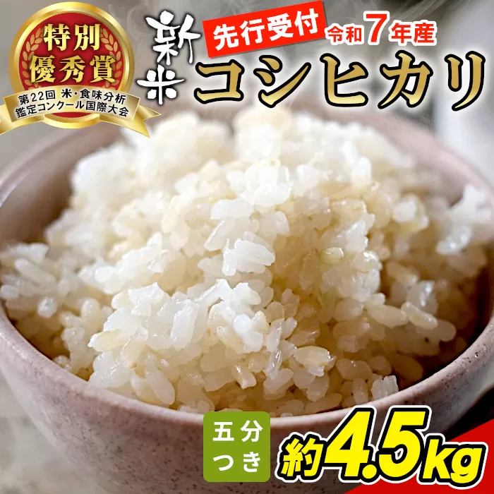 【令和7年産・先行受付】令和7年産 コシヒカリ 五分つき米 約4.5kg 米 五分つき 五分精米 五分つき精米 分つき精米 岐阜県 東白川村産 新米 お米 こめ 精米 ご飯 おにぎり 食物繊維 低GI 返礼品 ふるさと納税 9000円