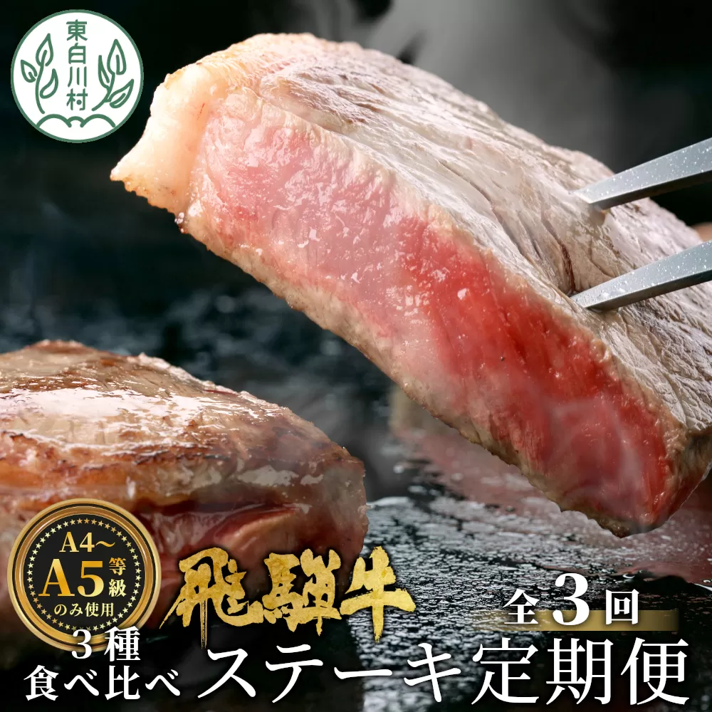 飛騨牛 ステーキ定期便 全3回 計約1.5kg A5 A4 ステーキソース リブロースステーキ ももステーキ サーロインステーキ リブロース モモ サーロイン ステーキ 牛 冷凍 和牛 牛肉 にく お肉 肉 東白川村 岐阜 飛騨 霜降り 赤身 肉のひぐち