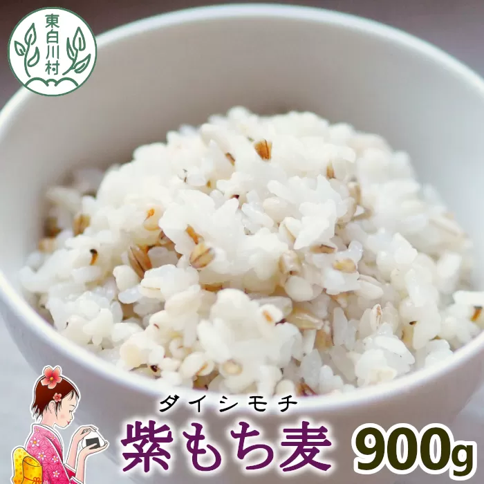 紫もち麦 900g ダイシモチ もち麦 雑穀 米 こめ 食物繊維 お米 大麦