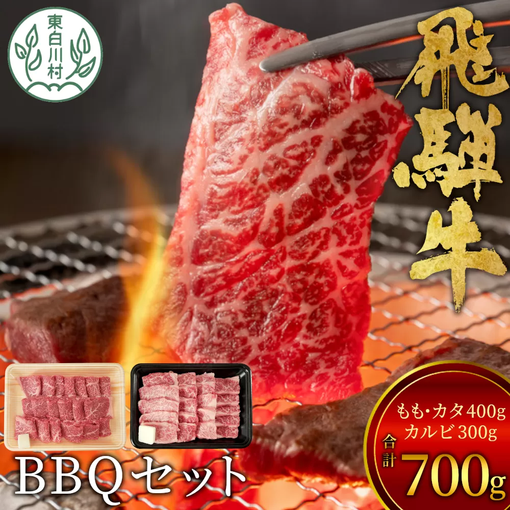 【7営業日以内発送】 飛騨牛 BBQセット (カルビ300g＋もも・カタ焼肉用400g) 計700g A5 A4 国産 牛 冷凍 和牛 牛肉 カルビ もも モモ カタ 肩 かた 豪華 ギフト 贈答  にく お肉 肉 東白川村 岐阜 飛騨 贅沢 霜降り 赤身 肉のひぐち
