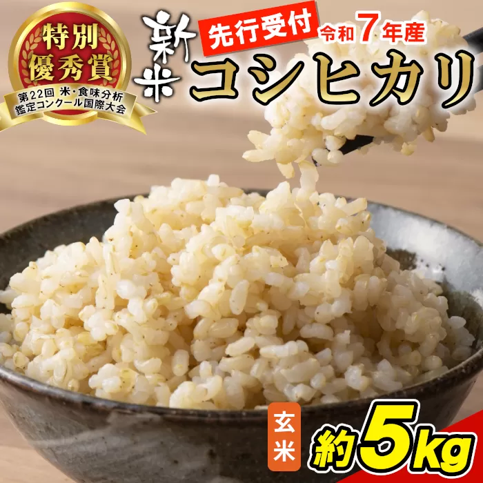 【令和7年産・先行受付】令和7年産 コシヒカリ 玄米 約5kg 米 岐阜県 東白川村産 新米 お米 こめ 精米 ご飯 おにぎり 食物繊維 低GI 返礼品 ふるさと納税 9000円