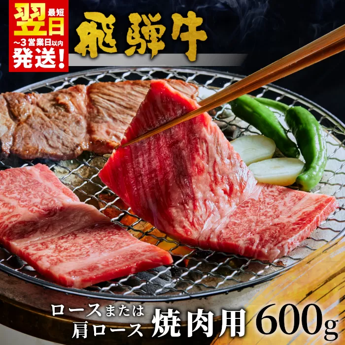 【最短翌日発送】 飛騨牛 ロースまたは肩ロース 焼肉用 600g 牛肉 和牛 肉 焼肉 BBQ ロース カタロース 肩ロース 東白川村 岐阜 贅沢 霜降り 養老ミート