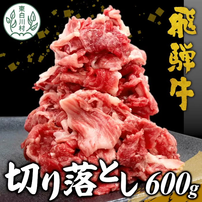 飛騨牛 切り落とし 600g  牛肉 和牛 肉 お肉 切落し 不揃い にく 切り落し 東白川村 ブランド牛 国産 人気 おすすめ 薄切り きりおとし 岐阜 すき焼き お取り寄せ 冷凍