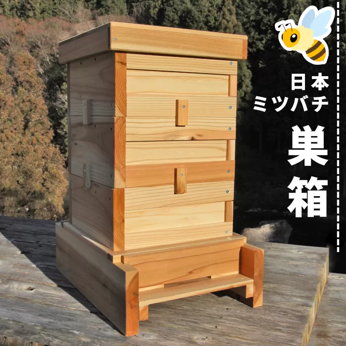 東白川村 日本ミツバチ用飼育箱 日本 ミツバチ 飼育 巣箱 蜂 蜂蜜 ハチミツ 養蜂 自由研究