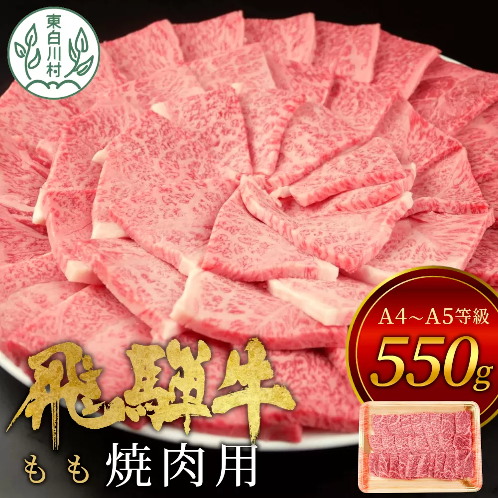 【7営業日以内発送】 飛騨牛 もも 焼肉用 550g A5 A4 国産 牛 冷凍 お試し 和牛 牛肉 もも肉 モモ 焼き肉 やきにく 赤身 ギフト 贈答 おすすめ BBQ バーベキュー キャンプ にく お肉 肉 東白川村 岐阜 飛騨 贅沢 霜降り 肉のひぐち